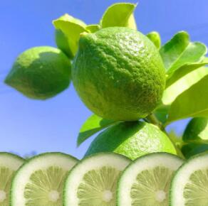 喜茶手打柠檬茶专用香水柠···